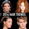 Trends in hairstyles 2014