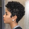 African american natural hairstyles