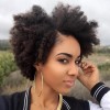 Hairstyles for african hair