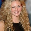 Hairstyles for naturally curly frizzy hair